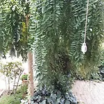 Apartman Karla, Dobropoljana, Otok Pasman Dobropoljana